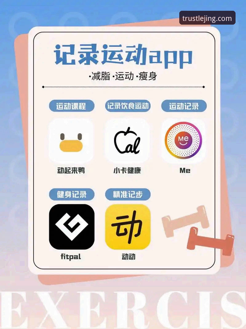 乐竟体育官网APP下载与安装完整指南：开启移动端新体验