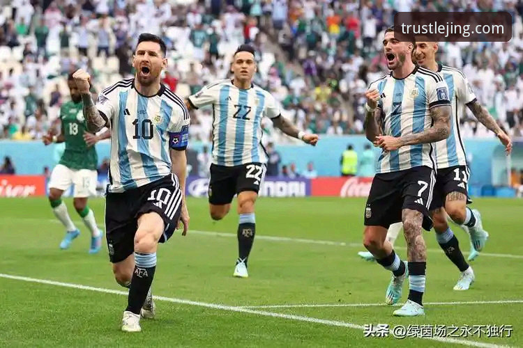 乐竟安装包下载 3个关键视角,深度解析阿根廷新星重伤如何影响世界杯格局